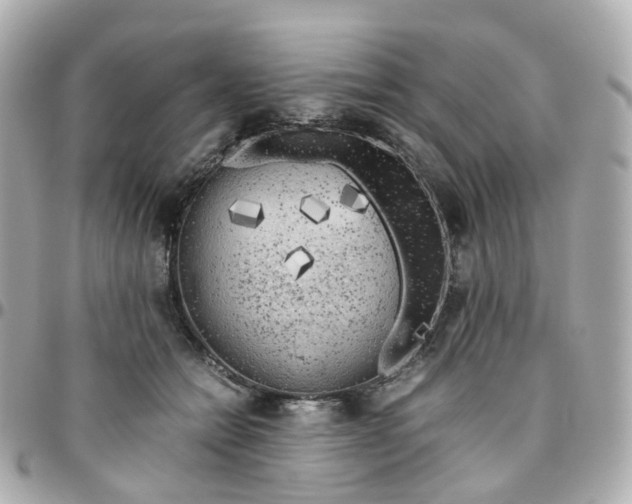 X0000095890558200802011109