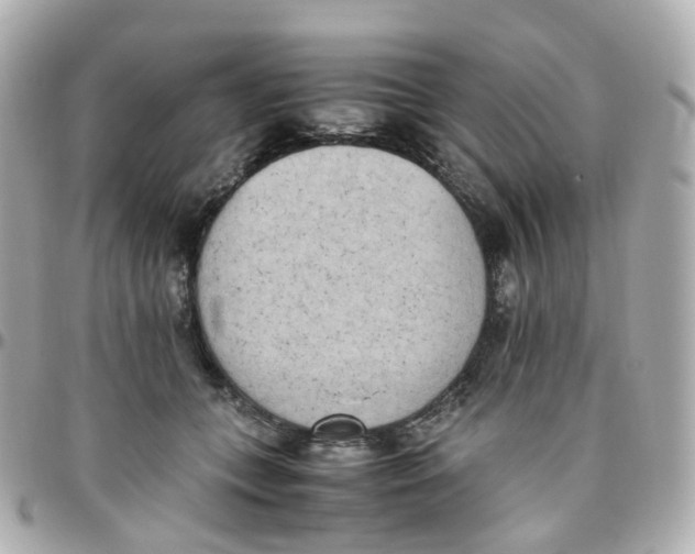 X0000095890559200802011109