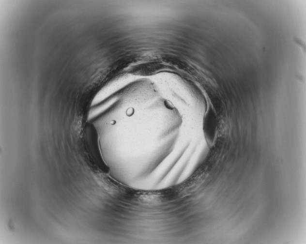 X0000095890560200802011109