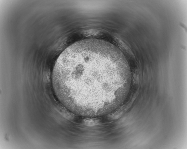 X0000095890561200802011109