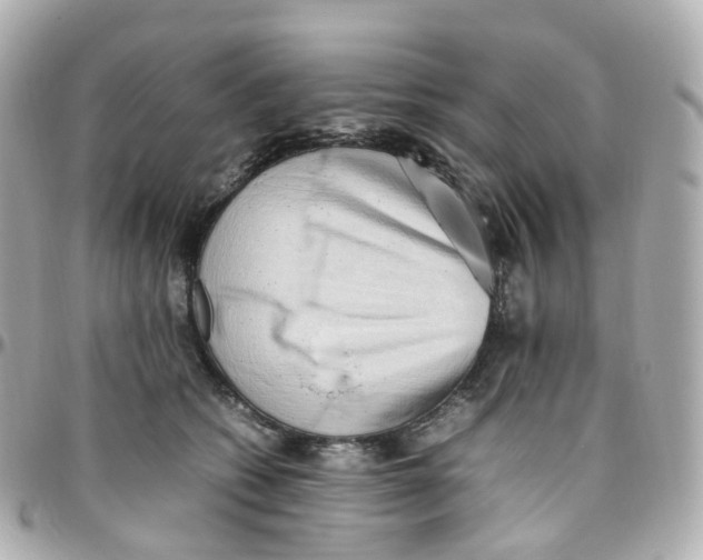 X0000095890562200802011109