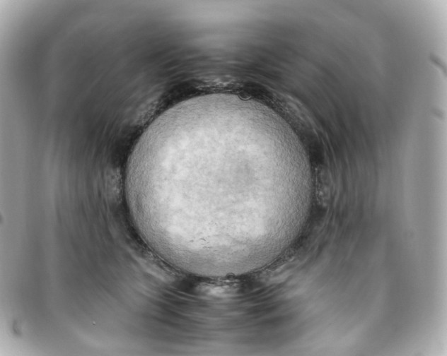 X0000095890563200802011109