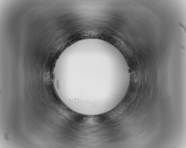 X0000095890564200802011109