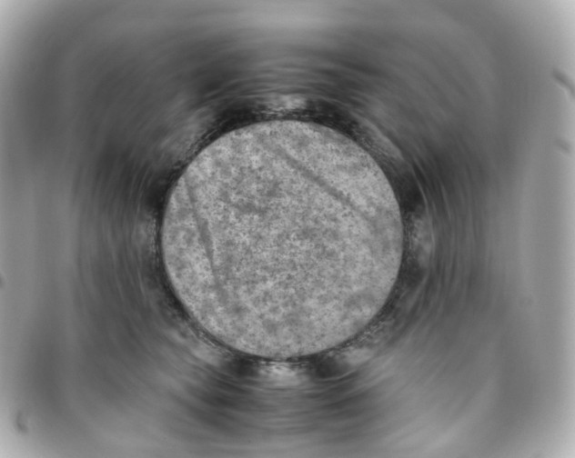 X0000095890565200802011109