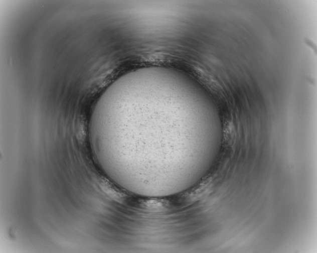 X0000095890566200802011109