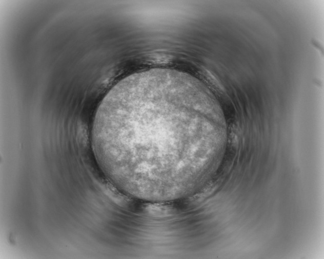 X0000095890568200802011109