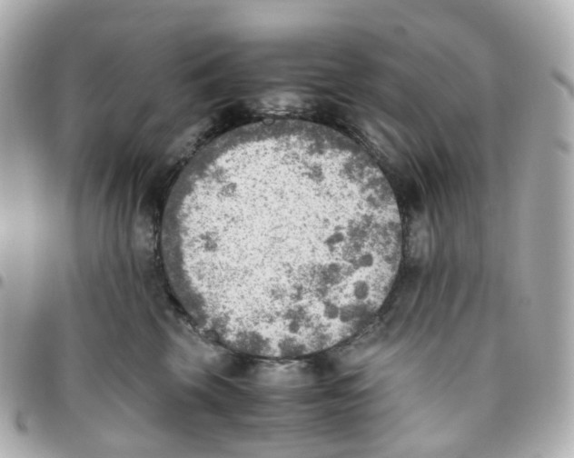 X0000095890569200802011109