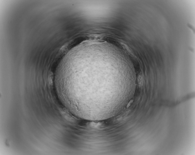 X0000095890570200802011109