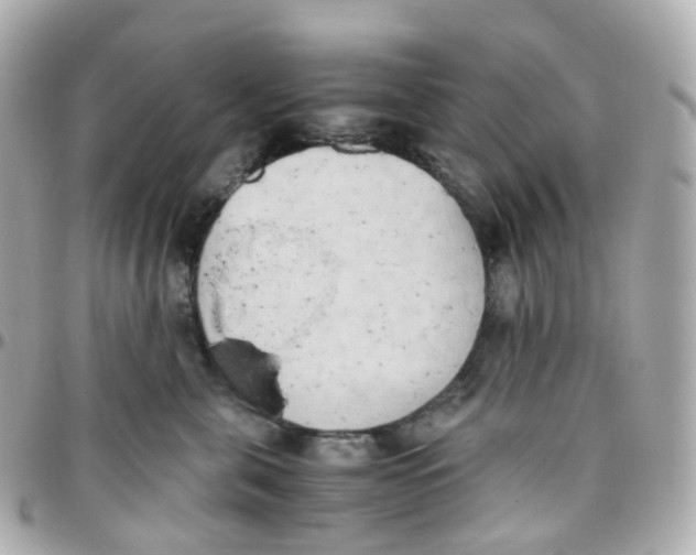 X0000095890571200802011109