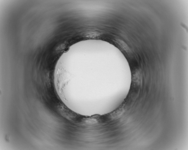 X0000095890572200802011109