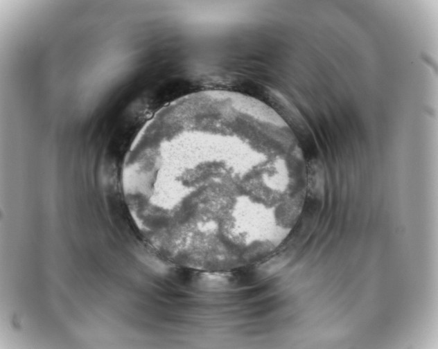 X0000095890573200802011109