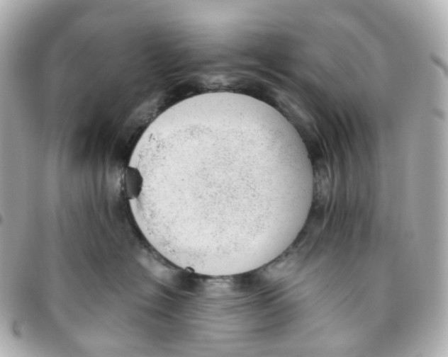 X0000095890574200802011109