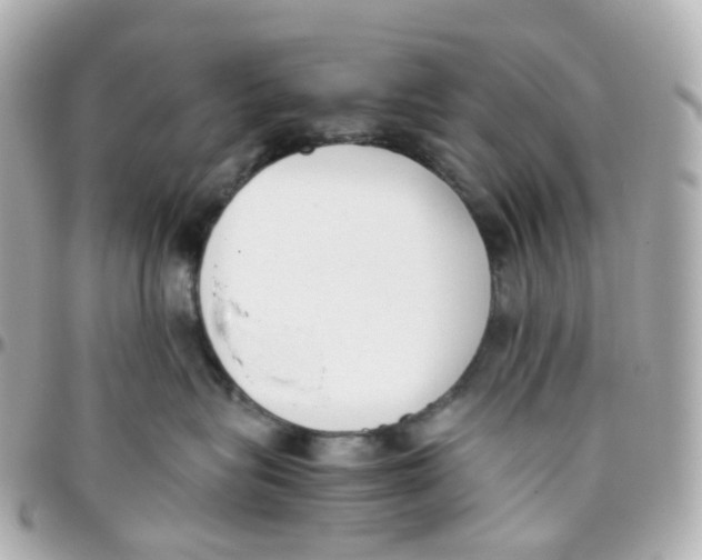 X0000095890575200802011109