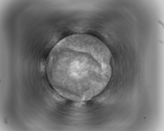 X0000095890576200802011109