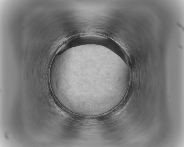 X0000095890577200802011108