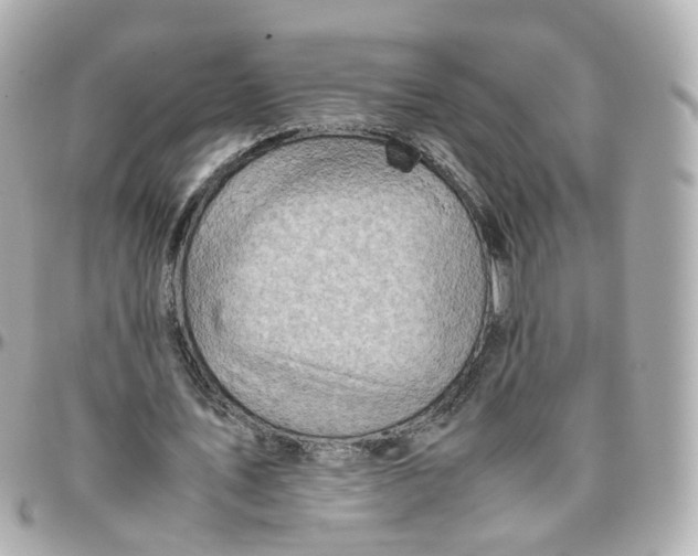 X0000095890579200802011108