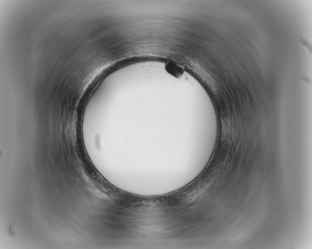 X0000095890580200802011108