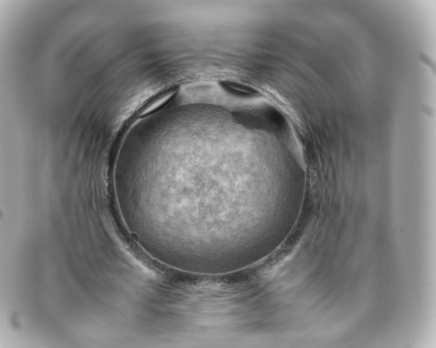 X0000095890581200802011108