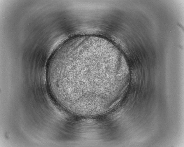 X0000095890582200802011108