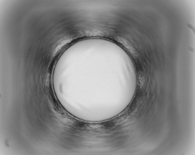 X0000095890583200802011108