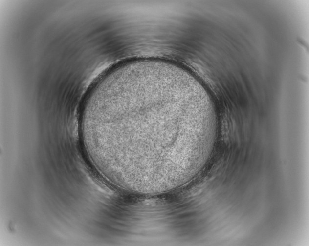 X0000095890584200802011108