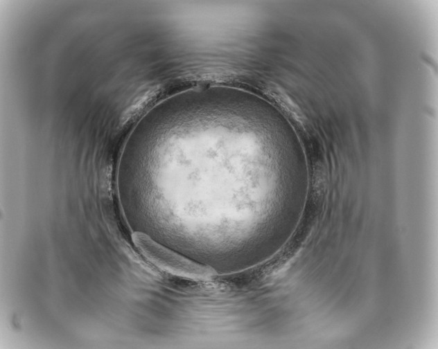 X0000095890585200802011108