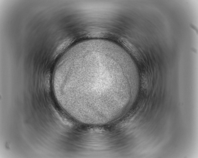 X0000095890586200802011108