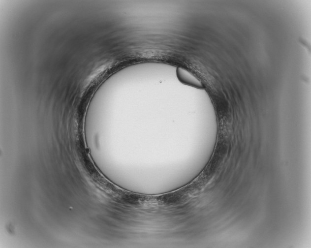 X0000095890587200802011108