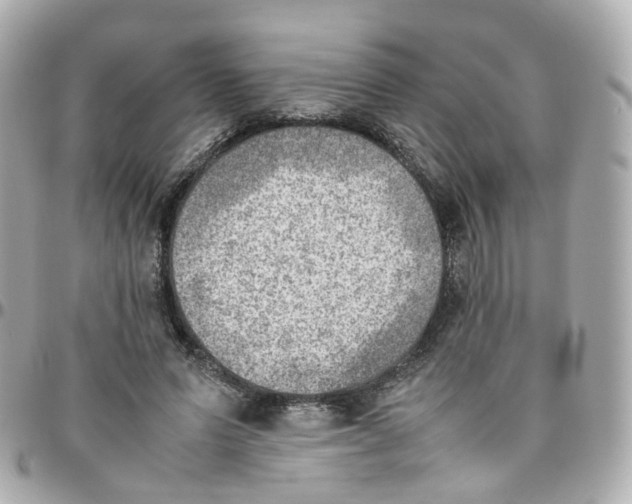 X0000095890591200802011108