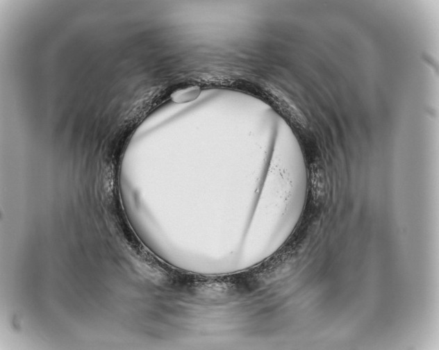 X0000095890593200802011108