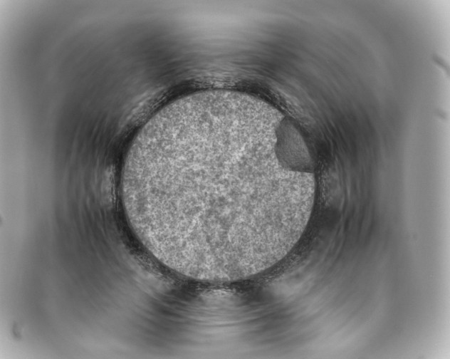 X0000095890594200802011108