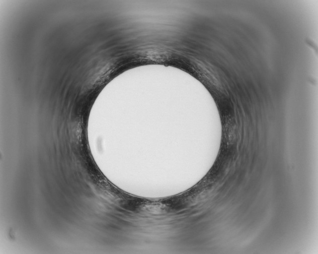 X0000095890595200802011108