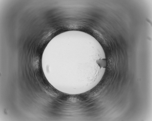 X0000095890596200802011108