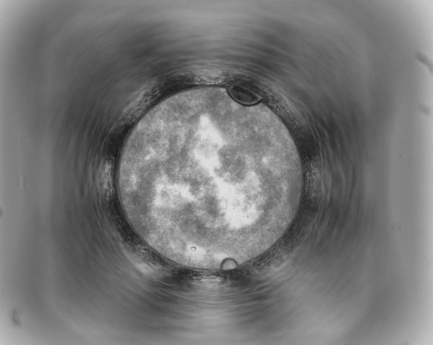 X0000095890598200802011108