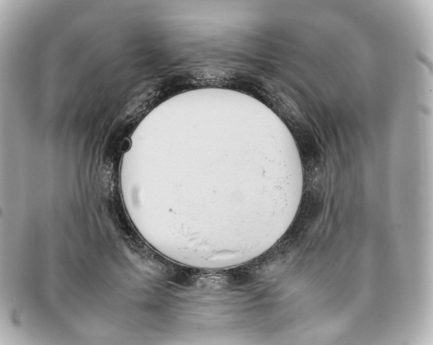 X0000095890599200802011108