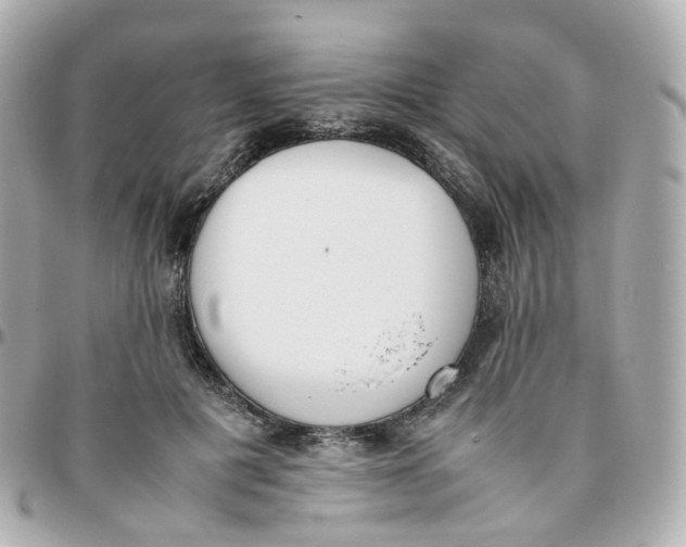 X0000095890601200802011108