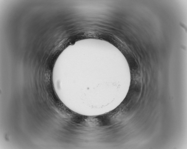 X0000095890603200802011108