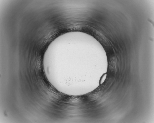 X0000095890604200802011108