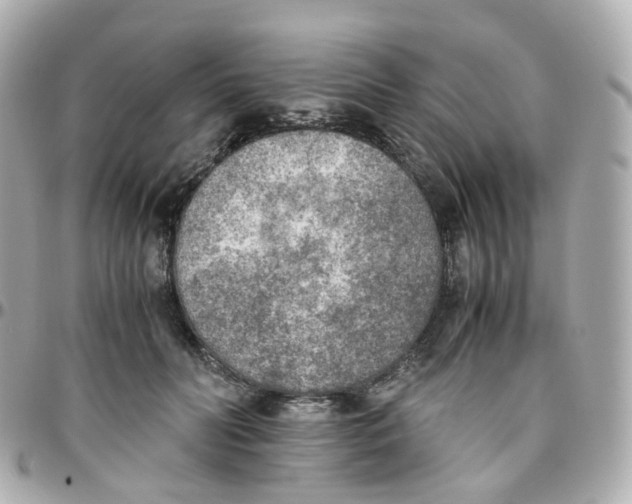 X0000095890606200802011108