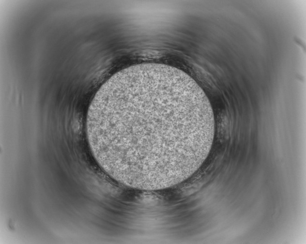 X0000095890608200802011108