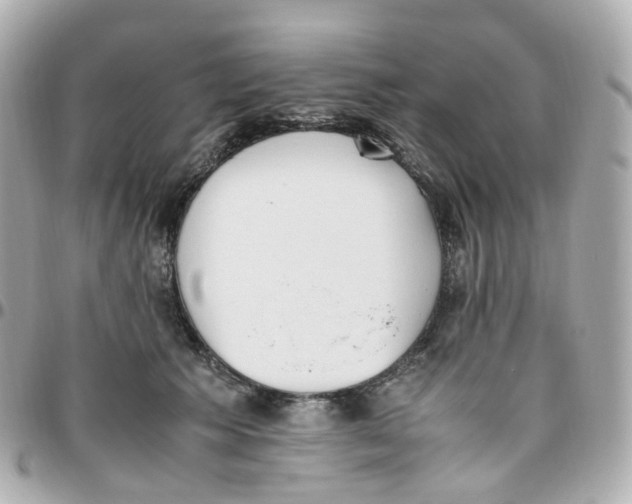 X0000095890609200802011108