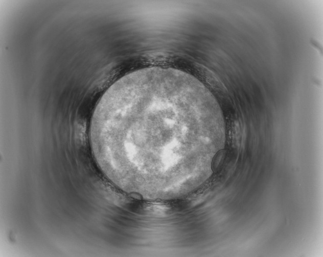 X0000095890610200802011108