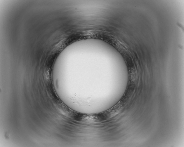 X0000095890611200802011108