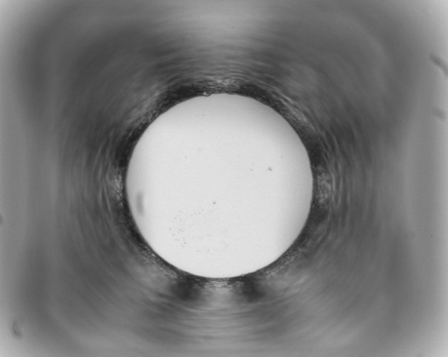 X0000095890613200802011108