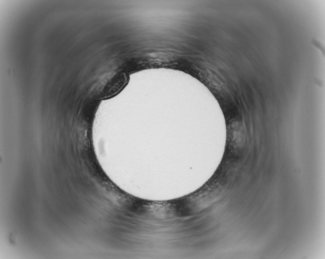 X0000095890615200802011108