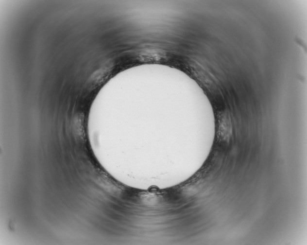 X0000095890616200802011108