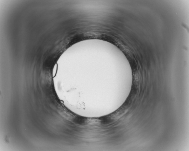 X0000095890617200802011108