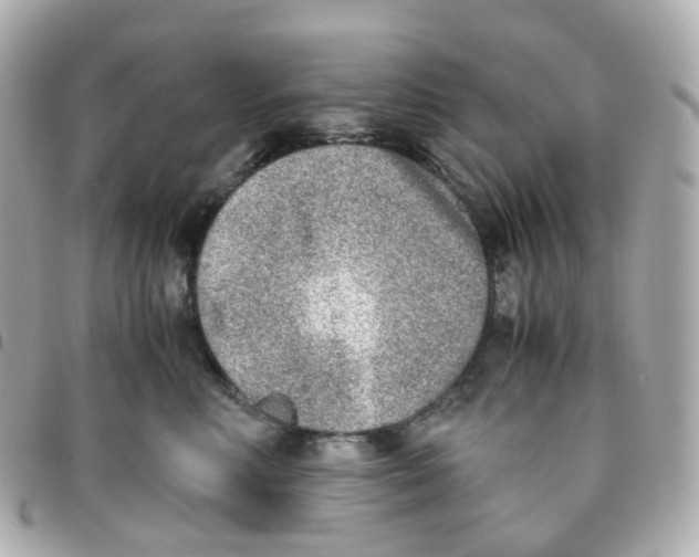 X0000095890618200802011108