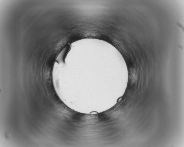 X0000095890619200802011108