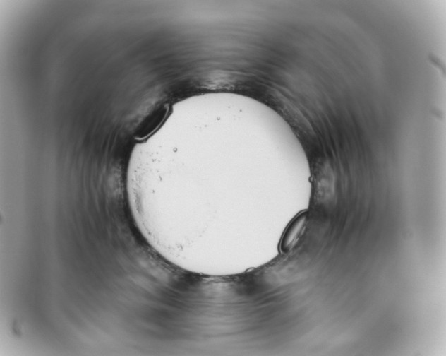 X0000095890620200802011108